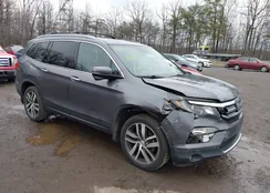 5FNYF6H90JB022445: 44401181