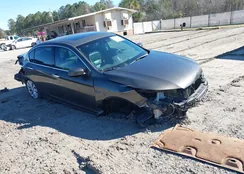 1HGCR3F81DA007557: 44401384