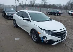 19XFC1F34LE213540: 44401397