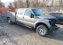 1FD7W2B63BEC58704: 44401412