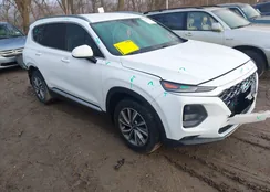 5NMS3CAD9LH204559: 44400758