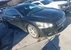 1N4AA5AP8EC435659: 44402169