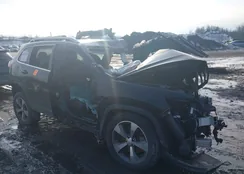 1C4PJMDX9KD441633: 44402239