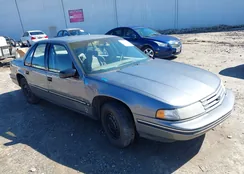 2G1WL54T3P1134768: 44401541