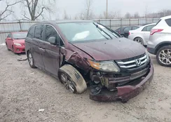 5FNRL5H61EB124050: 44402855