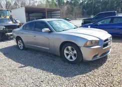 2C3CDXBGXDH636631: 44402884