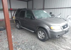 1FMYU94145KA46131: 44402948