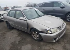 2T1BR12E51C493372: 44403232