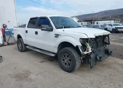 1FTFW1EF3BFB46212: 44402528