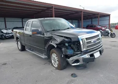 1FTFX1EF9BFD33659: 44402539