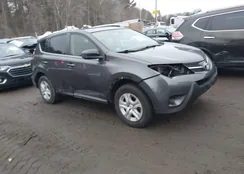 JTMBFREV0FJ031283: 44402732