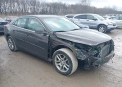 1G11C5SL7FF153649: 44403884