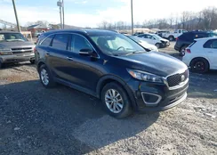 5XYPG4A39GG145424: 44404026