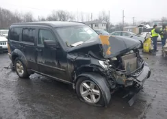 1D4PU5GK4AW108825: 44404061