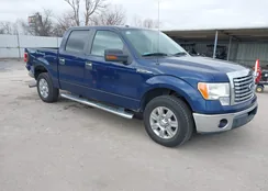 1FTFW1CF5BFD26469: 44404239