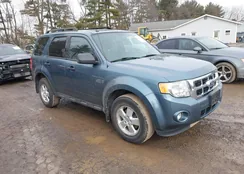 1FMCU9D72BKB71249: 44404242