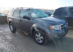 1FMCU9DG2CKA48634: 44404258