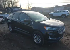 2FMPK4J99RBA81407: 44403591