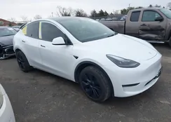 7SAYGDEE8SA351849: 44403754