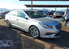 5NPE24AFXHH440879: 44405191