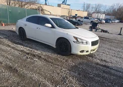 1N4AA5AP9DC800770: 44405228