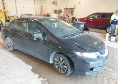 19XFB2F80FE020214: 44404618