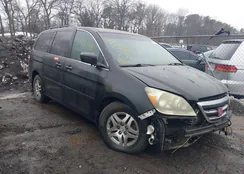 5FNRL38765B085226: 44406024