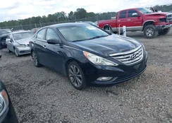 5NPEC4AB5BH218378: 44406053