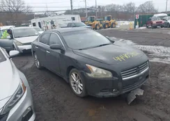 1N4AA51E19C823479: 44405802