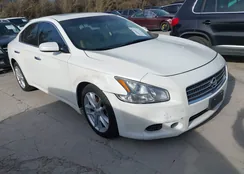 1N4AA51EX9C851037: 44406912