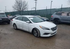 5NPE24AF4HH587098: 44407846