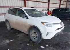 JTMBFREV9JJ718898: 44408134