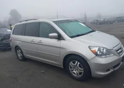 5FNRL38707B441771: 44407634