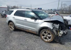 1FM5K7F87DGA57682: 44407645