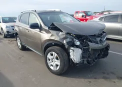 JTMZFREVXED040469: 44407724