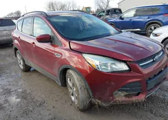 1FMCU9GX5GUC07703: 44408829