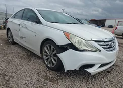 5NPEC4AC1BH059951: 44409168