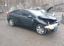 KNAFK4A64G5567630: 44409338