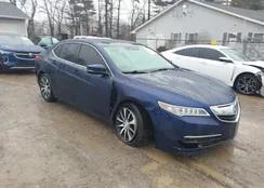 19UUB1F51HA004361: 44408730