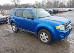 1FMCU0DG1BKA24724: 44409697