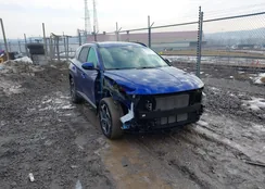 5NMJFCAE1PH291634: 44409771