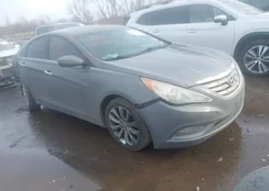 5NPEC4AC1BH096269: 44410830