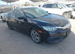 2HGFC2F51HH504520: 44410965