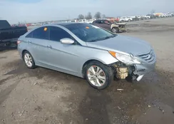 5NPEC4ACXDH579066: 44411263