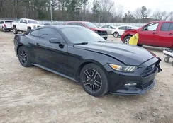 1FA6P8TH2F5435870: 44412070