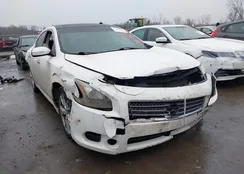 1N4AA5AP0BV829748: 44412089