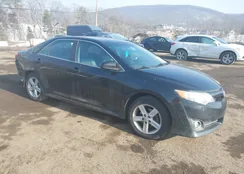 4T1BF1FK6EU411467: 44411674