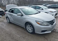 1N4AL3APXGN388625: 44412492