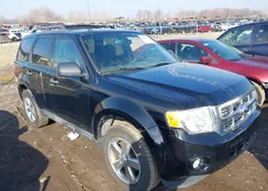 1FMCU9D76CKB72177: 44413979