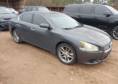 1N4AA5AP6CC834308: 44415067